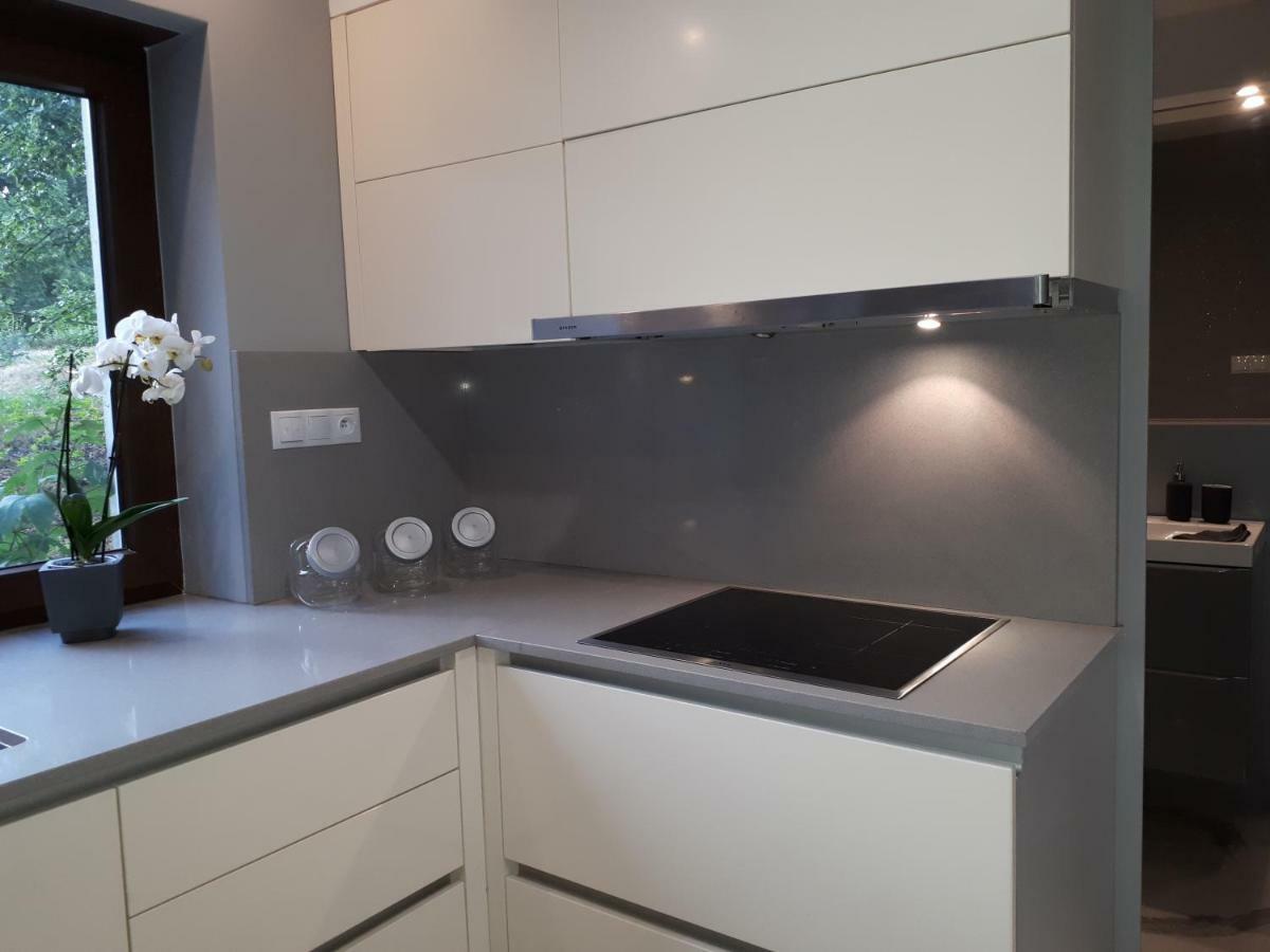 Apartamenty Centrum- Kochanowskiego -Dawniej Two-Bedroom Apartment Zielona Góra Exteriör bild